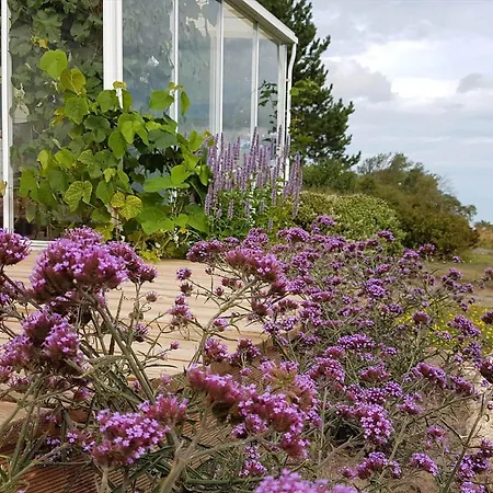 5519-gudhjem-melstedvej-52